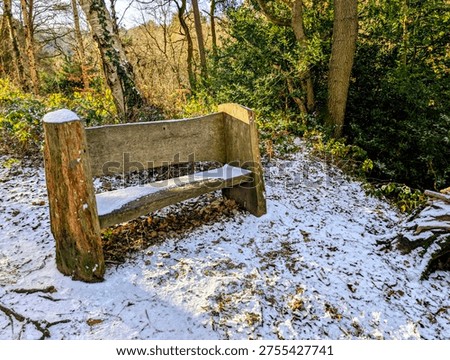 a walk around hackfall woods taking in the amazing sights