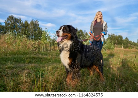 Similar – Image, Stock Photo Attractive womanon a rural path with dogs at sunset