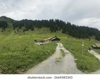 A walk down memory lane, a walk through the Alps