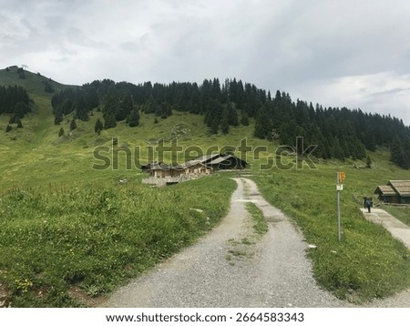 A walk down memory lane, a walk through the Alps