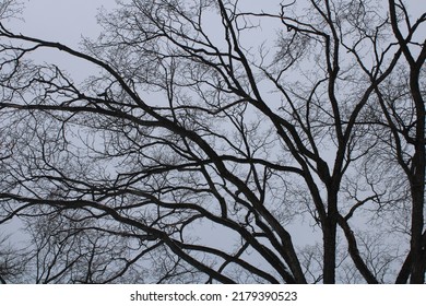 A Walk Downtown Saskatoon In Winter