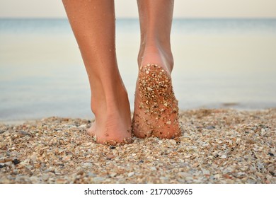 Walk, Foot, Sand, Feet, Water, Sea, Legs, Summer, Bare,foot, Woman, Leg, Body, Walking, Relaxation, Human	