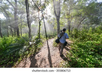 Walk in the forest