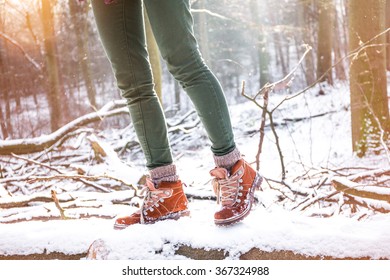 walk in the forest