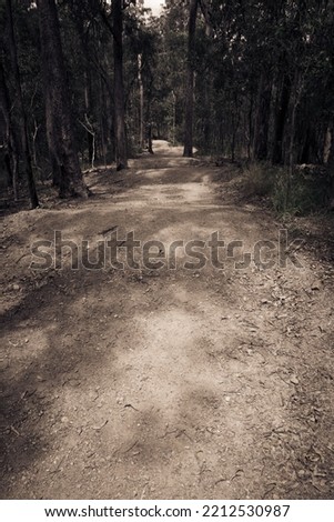 Similar – Foto Bild Natur Sand Herbst Wald