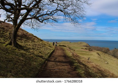 A Walk To Glengorm Castle, Mull