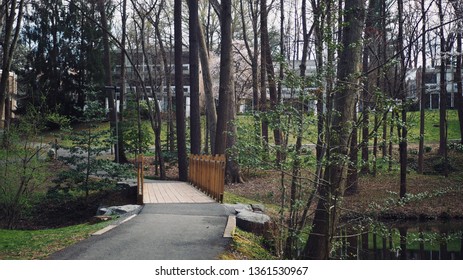 A Walk/ Hike Trail In Lake Anne, Reston, Virginia