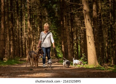 Walk With Many Dogs On A Leash. Dog Walker With Different Dog Breeds In The Beautiful Forest