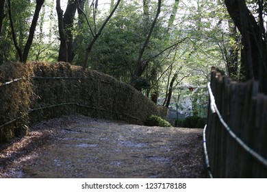 walk in nature