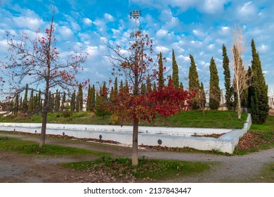 A Walk At The Olympic Athletic Center Of Athens “Spiros Louis”, In Greece At The 21st Of March 2022