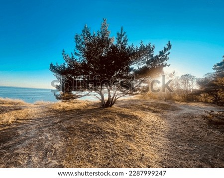 Foto Bild Ostseeküste in Polen