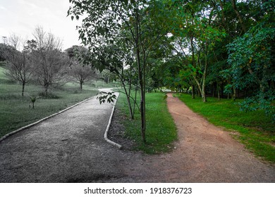 I Walk On The Left With Dead Vegetation And On The Right With Live Vegetation