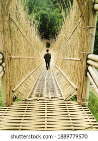  Walk On Wooden Bridge In Bandung Forest