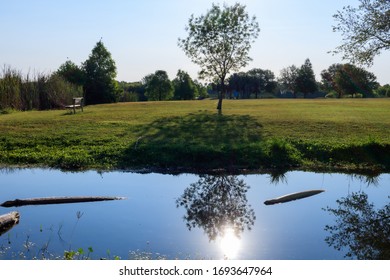 A Walk In The Park Early Morning In South Tampa, Florida