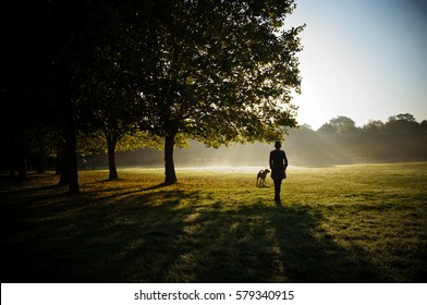 A Walk In Park, The Silhouette Of A Girl With A Dog. Woman Play Active With Black Dog In Summer Park. Park Alley With Green Trees And Leaves Under Them In Warm Shiny Evening. Concept: Pets And Owners.