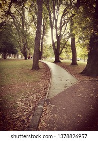 A Walk Path In Auckland Cornwall Park