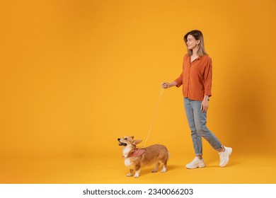 Walk with pet. Excited young lady walking with her cute corgi dog on a leash isolated on yellow studio background, full body length, banner, free space - Powered by Shutterstock