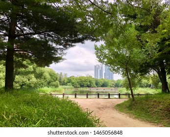 A Walk In Seoul Forest 