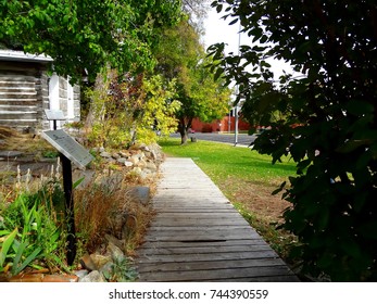 Walk Though The Trees