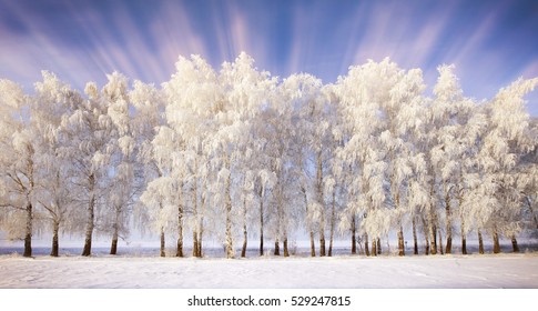 Walk Through The Beautiful Winter Scene In Russia