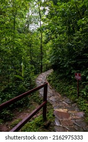 Walk Through A Desolate Passage In The Middle Of The Jungle.