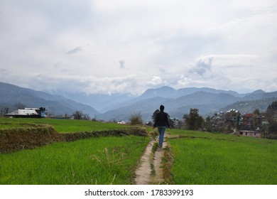 A walk through the fields.