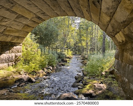 A walk through Hansel and Gretel’s path