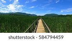 A walk through the marsh