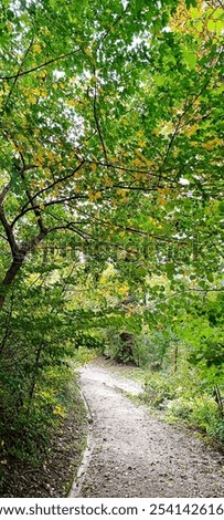 Similar – Foto Bild Herbstlicher Park Natur