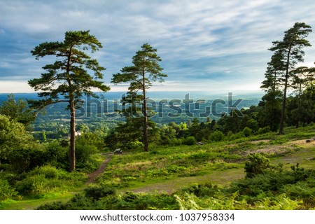 A walk through the Surrey countryside and to the top of Leith Hill South east England July
