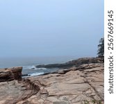 Walk to the Thunder Hole in Bar Harbor, ME, USA