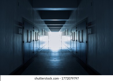 Walk way Path to the light - Powered by Shutterstock