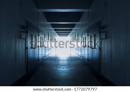 Walk way Path to the light