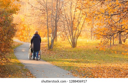 walk with a wheelchair 