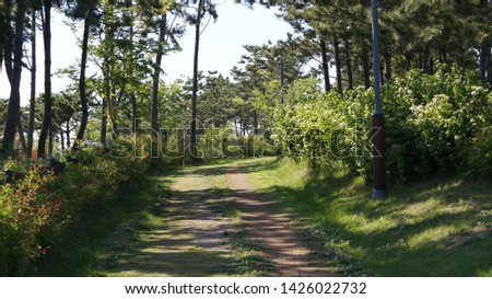 Similar – Zwei Menschen wandern auf einem Berg