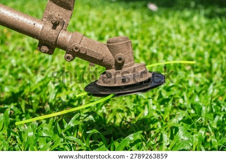 A walk-behind string trimmer is cuts through grass near walkway, whirling nylon line instead of traditional metal blades.