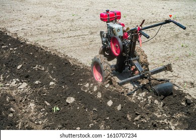 Walkbehind Tractor Garden Cultivator Plow Makes Stock Photo (Edit Now ...