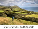 Walker on the South West Coast Path near Stonebarrow with Golden Cap in distance, Charmouth, Jurassic Coast, UNESCO World Heritage Site, Dorset, England, United Kingdom, Europe