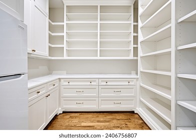 Walk-In Pantry in Contemporary Home
