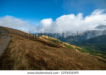 Similar – Image, Stock Photo Misty autumn morning on river.