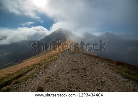 Similar – Image, Stock Photo Misty autumn morning on river.