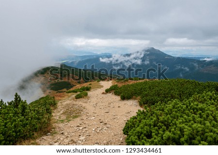 Similar – Image, Stock Photo Misty autumn morning on river.