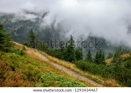 Similar – Image, Stock Photo Misty autumn morning on river.