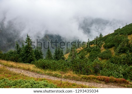 Similar – Image, Stock Photo Misty autumn morning on river.