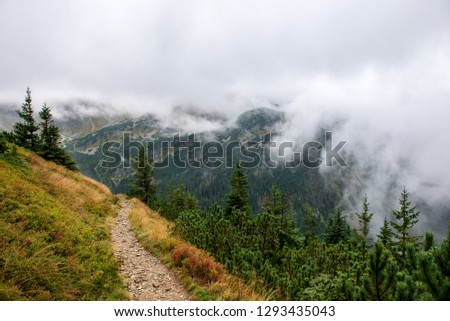 Similar – Image, Stock Photo Misty autumn morning on river.