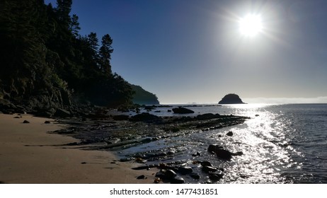 Walking Along The Beach On The Te Araroa