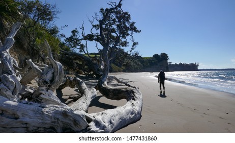 Walking Along The Beach On The Te Araroa