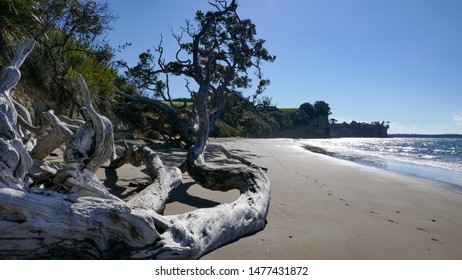 Walking Along The Beach On The Te Araroa