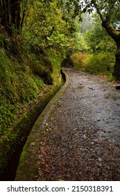 Walking Along Levada Dos Balcoes