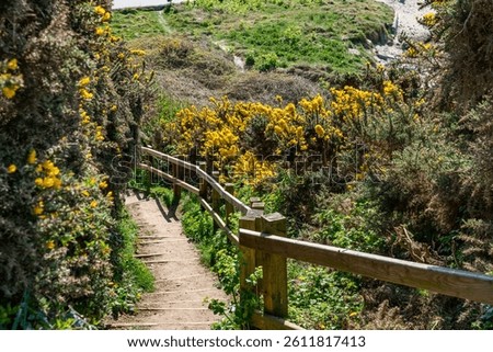 Walking the Anglesey coast path in spring